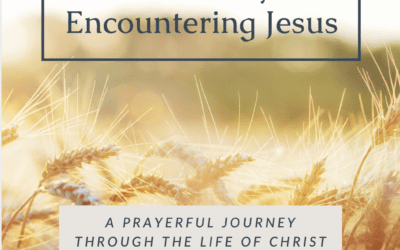 14 Days of Encountering Jesus