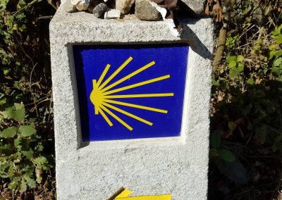 On the Camino