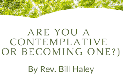 SOUNDINGS: “Are You a Contemplative (or Becoming One)?”