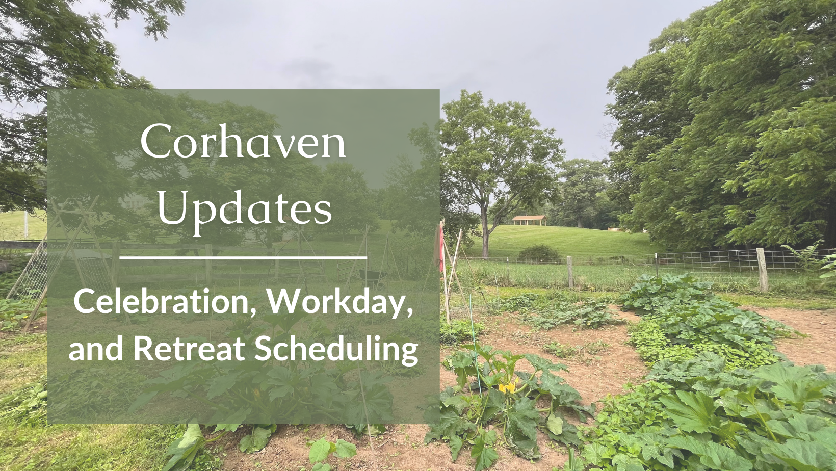 Rest for the Heart: Updates at Corhaven - Coracle