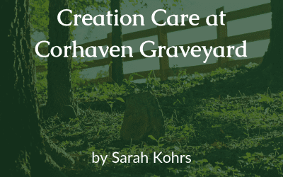Creation Care at Corhaven Graveyard