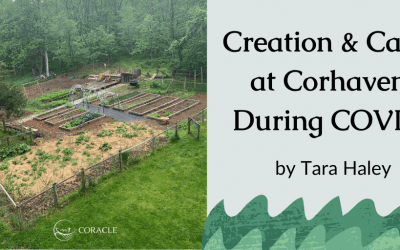 Creation & Care at Corhaven During COVID