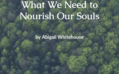 What We Need to Nourish Our Souls