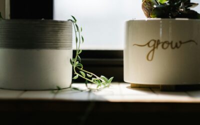 Interested in learning more about the Ignatian Spiritual Exercises?