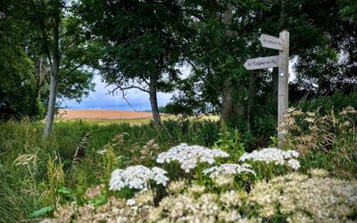 Embracing Being With Jesus on the Way