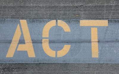 Where Can I Go From Here—Action, Advocacy, and Allyship