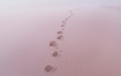 The Invitation of the In-Between